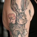 Jackalope tattoo by Kirsten Holliday. #KirstenHolliday #jackalope #fable #imaginary #animal #antler #rabbit #organic