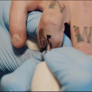 Ami James hard at work on Daniel Agger's Liver Bird tattoo. #sports #danielagger #liverpool #youllneverwalkalone #ynwa #amijames #tattoodo