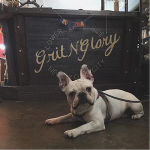 Dogs are welcome @gritnglory This cute frenchie, Ed Harris, is one of GNG's favorite regulars! #gritnglory #meganmassacare #frenchie #tattoostudio #studio #NY #nyink #tattoostudio #studio #boutique