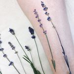 Lavender by Rit Kit #RitKitTattoo #botanical #color #lavender #flower #minimalistic #tattoooftheday
