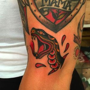 Solid colorful snake head tattoo done by Moira Ramone. #MoiraRamone #25toLife #traditionaltattoo #snake #snakehead