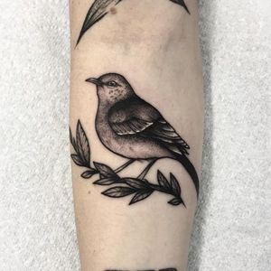 A lovely little mockingbird by Rebecca Vincent (IG-rebecca_vincent_tattoo). #blackwork #illustrative #mockingbird #RebeccaVincent