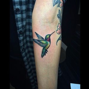 Pretty little hummingbird via @lazerliz #lazerliz #hummingbird #animal