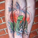 Gafanhoto #CodyEich #gringo #surrealism #surrealismo #graphic #grafico #geometric #geometrica #fullcolor #colorido #nature #natureza #gafanhoto #grasshopper #inseto #bug #watercolor #aquarela #folha #leaf