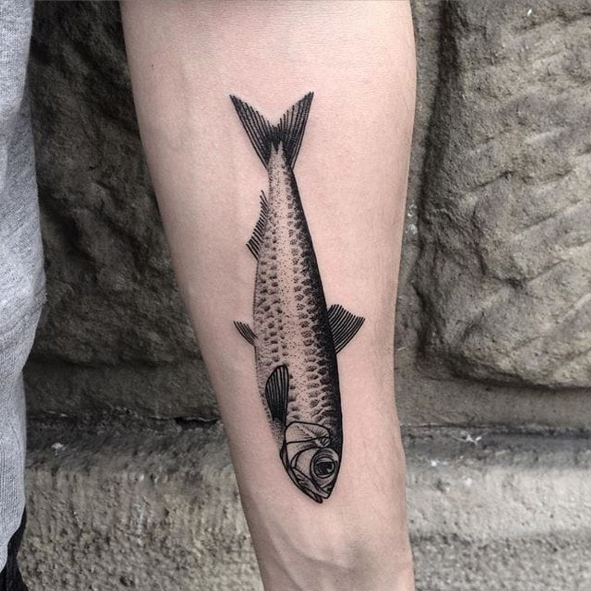 Tattoo uploaded by Stacie Mayer • Dotwork sardine tattoo by Klaudia