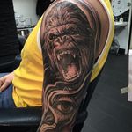 Gorilla Tattoo by Andy Blanco #gorilla #gorilltattoo #blackandgrey #blackandgreytattoo #blackandgreytattoos #realism #realismtattoo #AndyBlanco