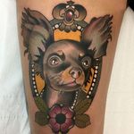 A sassy long-haired chihuahua, by Roger Mares. (via IG—mares_tattooist) #neotraditional #animals #creatures #quirky #rogermares