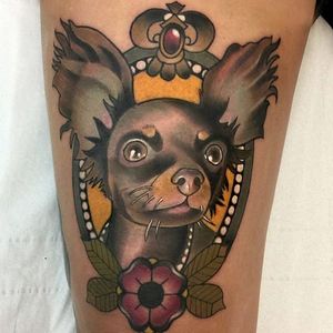 A sassy long-haired chihuahua, by Roger Mares. (via IG—mares_tattooist) #neotraditional #animals #creatures #quirky #rogermares