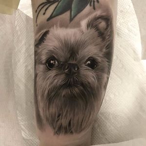 Pup portrait by Jamie Mahood #JamieMahood #blackandgrey #realism #realistic #hyperrealism #portrait #dog #puppy #petportrait #fur #shihtzu #tattoooftheday