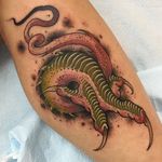 Claw Snake Tattoo by Zach Black #neotraditional #neotraditionaltattoo #japanese #japanesetattoo #gruesometattoos #ZachBlack