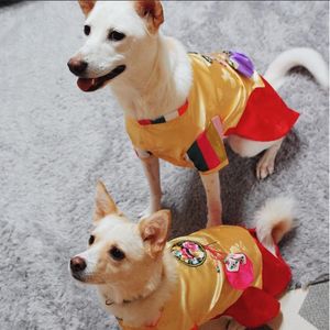 A photo of adorable little doggies dressed up for South Korean New Years. #adorable #micropuppies #minature #realism #SolTattoo