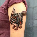 Eagle Traditional Tattoo by Vince Pages @Vince_Pages #Vincepages #Traditional #Traditionaltattoo #Nuitnoiretattoo #Geneva #Switzerland #Eagle