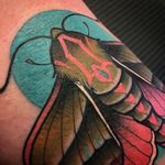 Excellent detail and vibrant color in this moth tattoo from Scott Garitson (IG—scottgaritsontattoo). #moth #ScottGaritson #surreal #traditional #vibrant