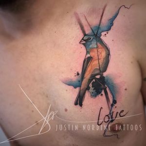 How can you not love this piece?  (Via IG - justinnordinetattoos) #Bird #justinnordine #watercolor #art #nature