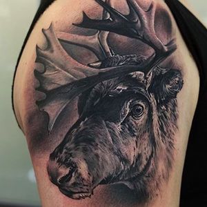 Super cool moose tattoo with incredible detail work. Awesome tattoo by Massimiliano Fonzo. #massimilianofonzo #blackandgrey #realistic #moose #animaltattoos