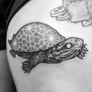 Blackwork turtle with a patterned shell by Fliquet Renouf. #blackwork #linework #FliquetRenouf #turtle #shell #patterned #geometric