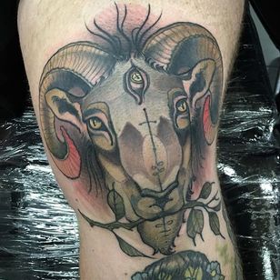 Neo Traditional Animal Tattoos by Tim Tavaria • Tattoodo