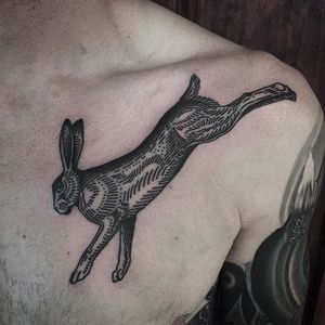 Hare Tattoo #blackwork #blackink #linework #blacktattoos #AlexSnelgrove #hare #animal