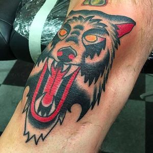 Gruesome looking wolf on the knee tattoo done by Janitor Jake. #JanitorJake #HatCityTattoo #traditional #boldtattoos #wolf #wolfhead #kneetattoo