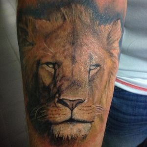 Color realism lion tattoo by Lee Sheehan. #realism #colorrealism #lion #bigcat #LeeSheehan