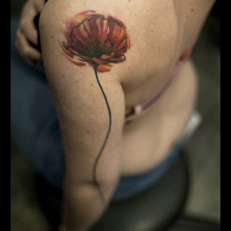 Tatuaje de amapola de Mathias Reichert #MathiasReichert #watercolor #graphic #sketchstyle #poppy #flower