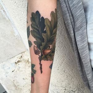 Acorn Tattoo by Pooka #acorn #plant #tree #Pooka