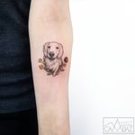 Good Doggy tattoo by Ahmet Cambaz #AhmetCambaz #besttattoos #color #blackandgrey #realistic #newtraditional #small #dog #petportrait #ball #leaves #animal #nature #cute #tattoooftheday