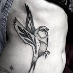 Bird tattoo by Gaston Tonus #GastonTonus #sketch #surrealistic #graphic #monochrome #monochromatic #blackwork #dotwork #bird