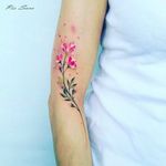 Blossoms stem Tattoo by Pis Saro @Pissaro_tattoo #PisSaro #PisSaroTattoo #Nature #Watercolor #Naturetattoo #Watercolortattoo #Botanical #Botanicaltattoo #Crimea #Russia