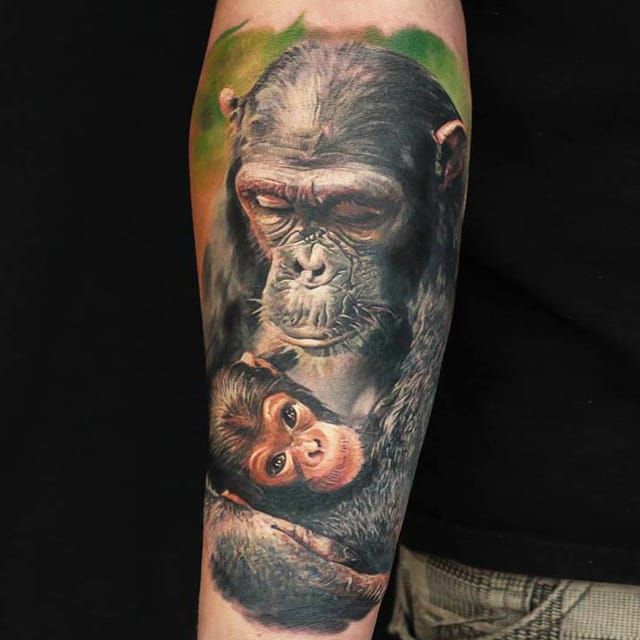 20 melhor ideia de Chimpanzé  macacos, primatas, tatuagens de macaco