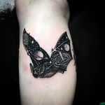 Starry Bat Tattoo by Merry Morgan @Merry_tattooer #MerryMorgan #MerryTattooer #black #blackwork #blckwrk #starrytattoo #starrynight #blacktattooing #btattooing #BlackInc #Bat