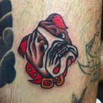Adorable little bulldog head tattoo done by Jason Ochoa. #JasonOchoa #GreenPointTattooCo #traditionaltattoo #boldtattoos #bulldog #dog