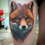 Clean and vibrant fox tattoo by Tatyana Kashtan. #TatyanaKashtan #FOX