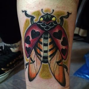 Bug Tattoo by Lord Montana Blue #bug #beetle #ladybug #newschool #neotraditional #newschoolbug #neotraditionalbug #LordMontanaBlue