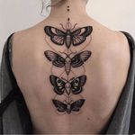 Um lindo grupinho de mariposas #MaReeni #mariposa #moth #inseto #bug #deathmoth #pontilhismo #dotwork #blackwork #group #grupo #tradicional #traditional