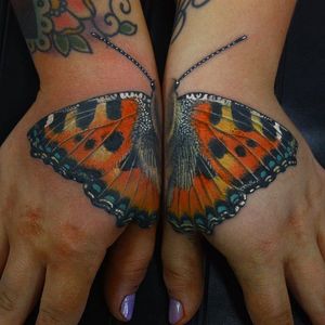 Tattoo by Antony Flemming @antonyflemming #antonyflemming #neotraditional #butterfly