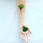 Delicate green leaf Tattoo by Pis Saro @Pissaro_tattoo #PisSaro #PisSaroTattoo #Nature #Watercolor #Naturetattoo #Watercolortattoo #Botanical #Botanicaltattoo #Crimea #Russia
