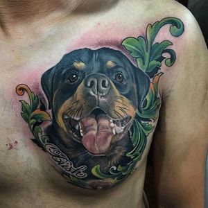 Styled realism rottweiler tattoo by Phong Ha. #neotraditional #styledrealism #dog #rottweiler #PhongHa