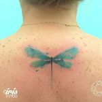 Watercolor dragonfly by Florenciz Gonzalez Tizon. #watercolor #FlorenciaGonzalezTizon #insect #dragonfly #nooutline