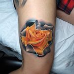 Yellow rose of Texas (IG-@acostattoo) #YellowRoseOfTexas #Texas #texastattoo #roses #yellowrose #andresacosta #realism #traditional