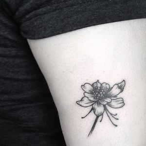 Miniature columbine flower tattoo by Emilie Robinson. #flower #floral #columbine #columbineflower #miniature #minimalist #EmilieRobinson