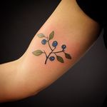 Dainty blueberry tattoo by Vackra Ting. #fruit #blueberry #botanical #flora #minimalist #VackraTing