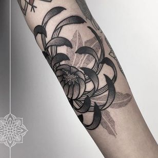 Belleza botánica de Sarah Herzdame (a través de IG-herzdame) #geometric #illustrative #dotwork #blackandgrey #ornamental #SarahHerzdame