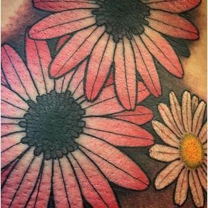 Delicate white and pink daisy tattoo by Chuck Gordon. #daisy #flower #traditional #neotraditional #ChuckGordon