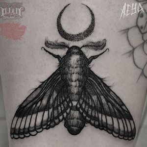 Moth Tattoo by Alex Underwood #moth #mothtattoo #blackworkmoth #blackwork #blackworktattoo #blackworktattoos #blacktattoos #blackink #blackworkartists #AlexUnderwood