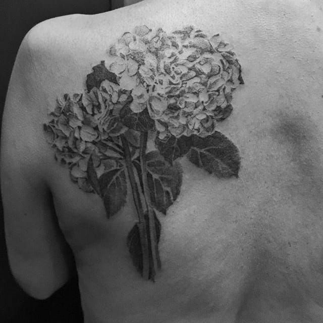 ruby jae tattooing  Black  gray hydrangea tattoo done Some healed