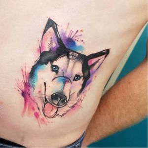 Cãozinho #JosieSexton #gringa #watercolor #aquarela #cao #dog #cachorro #pet #petlover #doglover #wolf #lobo #husky #siberianhusky