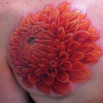 Large color realism dahlia by @dark_spirit_tattoo. #dahlia #realism #colorrealism #flower #dark_spirit_tattoo #floral #dahliaflower