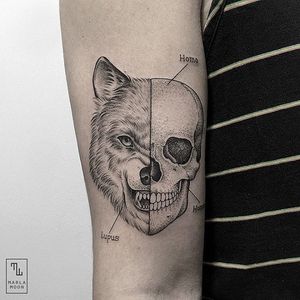 Werewolf by Marla Moon (via IG-marla_moon) #skull #wolf #werewolf #diagram #finelines #illustrative #blackandgrey #MarlaMoon