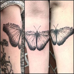 Meaningful butterfly tattoo by Melina di Febo. #quote #inspirational #inspirationalquote #motivation #meaning #meaningful #script #sayings #butterfly #MelinadiFebo